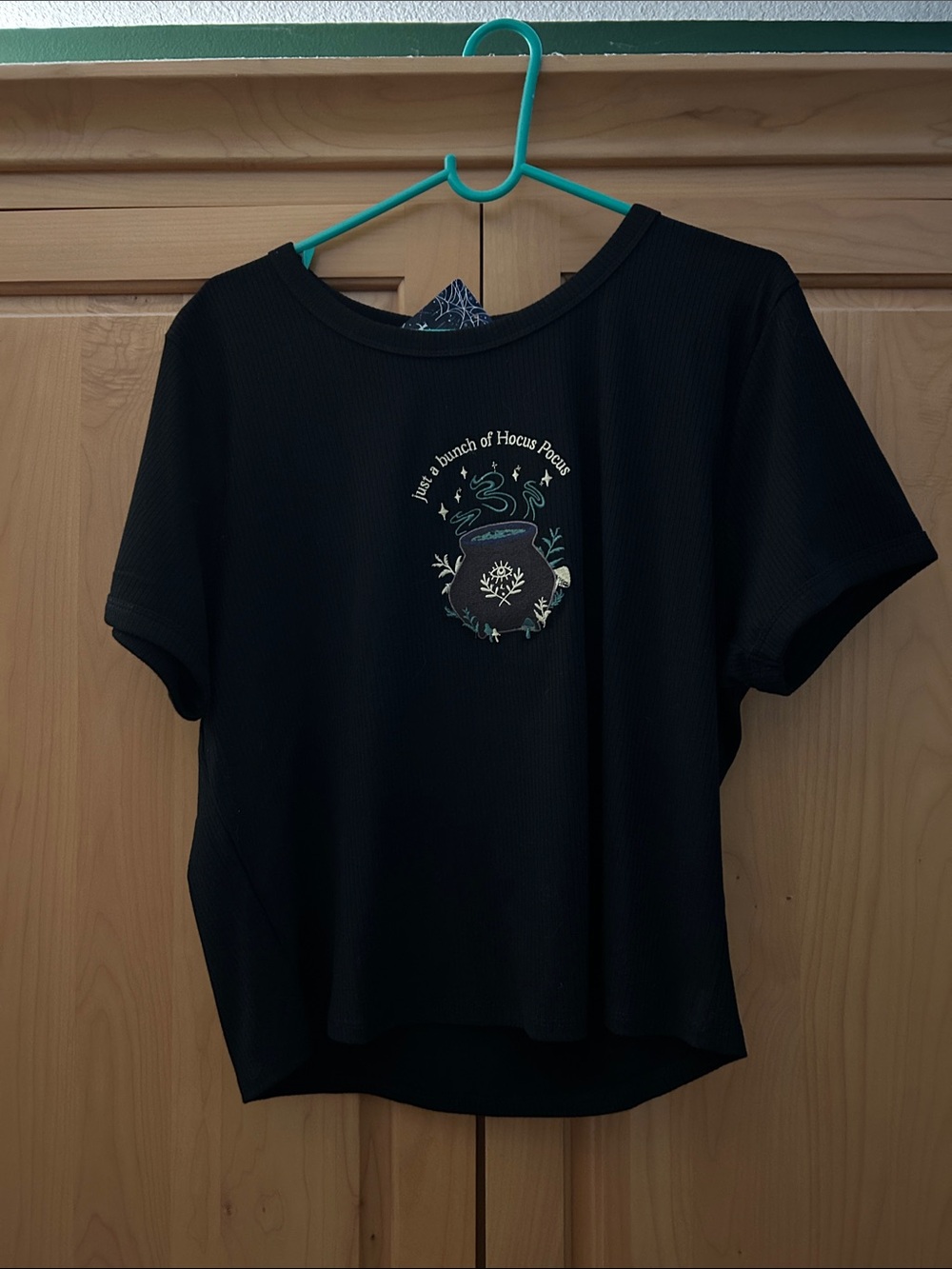 Hocus Pocus Black Crop Top Adult Plus Size 1